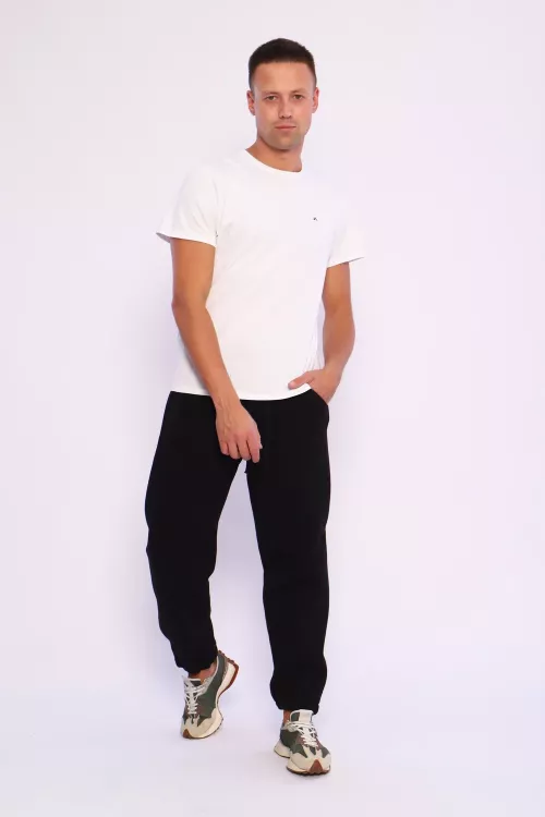 Джоггеры В-107