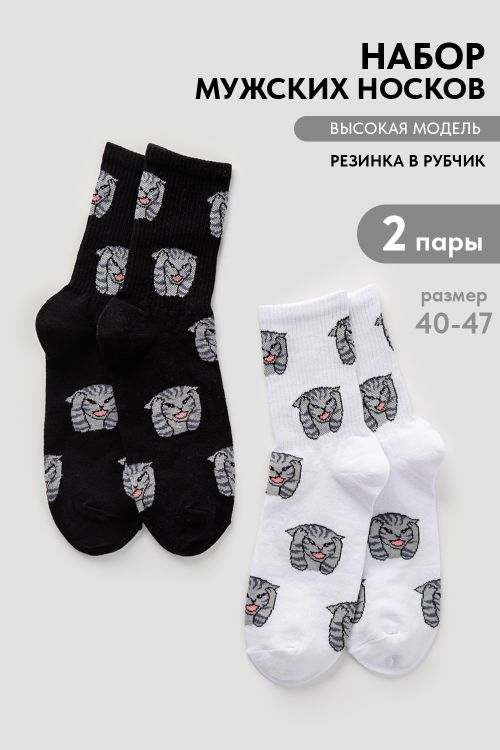 Носки мужские Драматик кот (набор 2 пары)