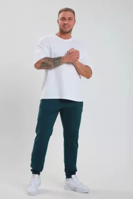 Брюки мужские 33493