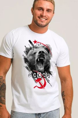 Футболка мужская 844577