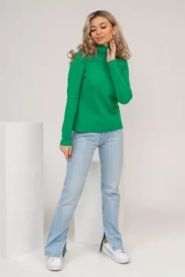 Водолазка мод.1461/7