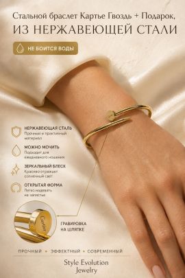 Стальной браслет Картье Гвоздь + Подарок