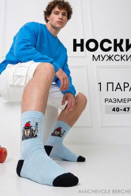 Носки мужские Ньютон