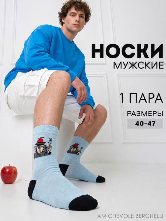 Носки мужские Ньютон