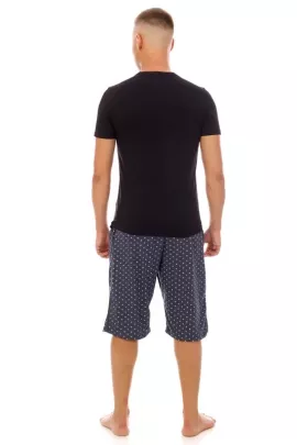 Шорты мужские Ш-3-ЗС