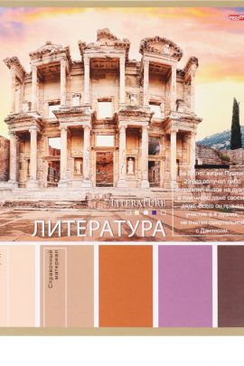 TM Profit Тетрадь ЛИНИЯ 36л. ЛИТЕРАТУРА «PANTONE» (36-9322) эконом, б/о