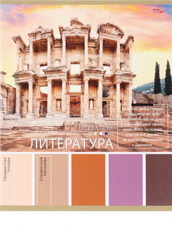 TM Profit Тетрадь ЛИНИЯ 36л. ЛИТЕРАТУРА «PANTONE» (36-9322) эконом, б/о