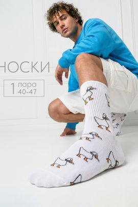 Носки мужские Гуси