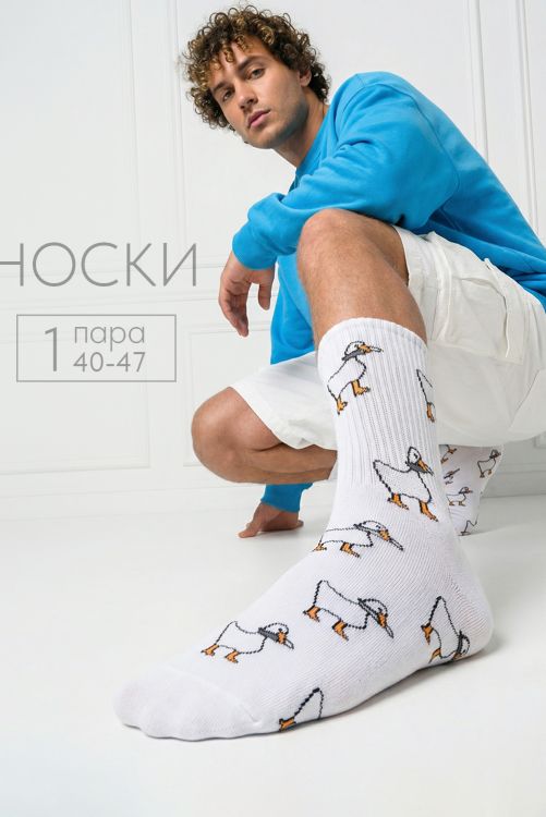 Носки мужские Гуси
