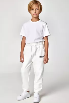 430 Брюки джоггеры детские из футера с начесом