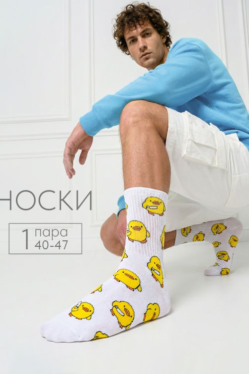 Носки мужские Утки