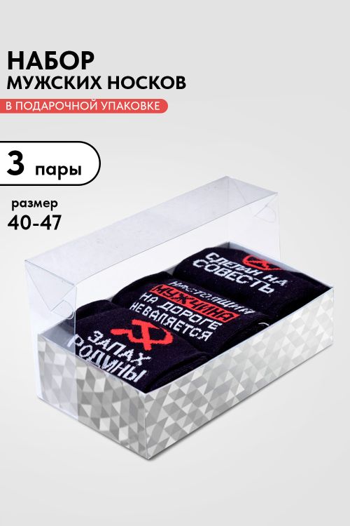 Носки мужские Родина (набор 3 пары)