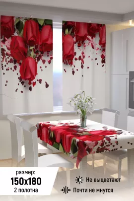 Фотошторы для кухни 10853