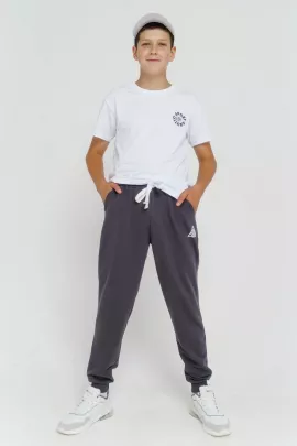 Брюки спортивные Александр