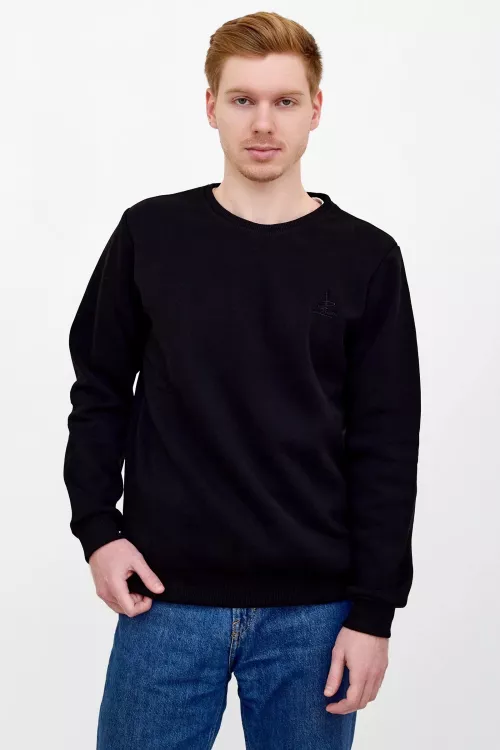 Толстовка мужская  Арт. 8985