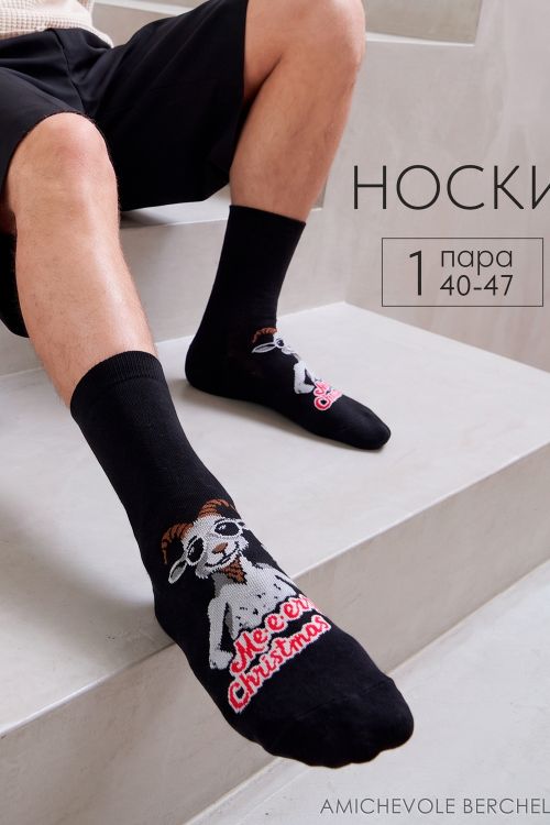 Носки мужские Крис, чулочно-носочный, черный, размеры 25-29