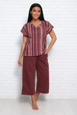 Костюм Брауни коричневый (брюки без рисунка)