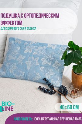 Подушка Bio-Line с лузгой гречихи PG40.60