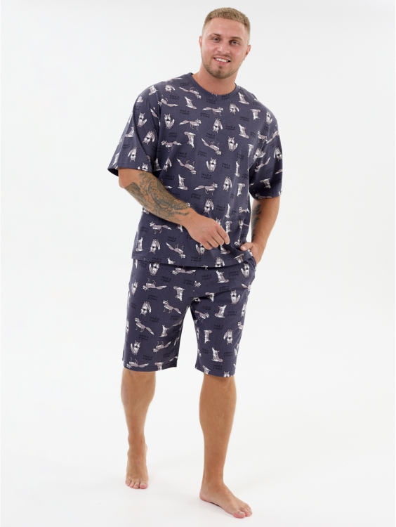 Альтаир костюм мужской (волки серый)