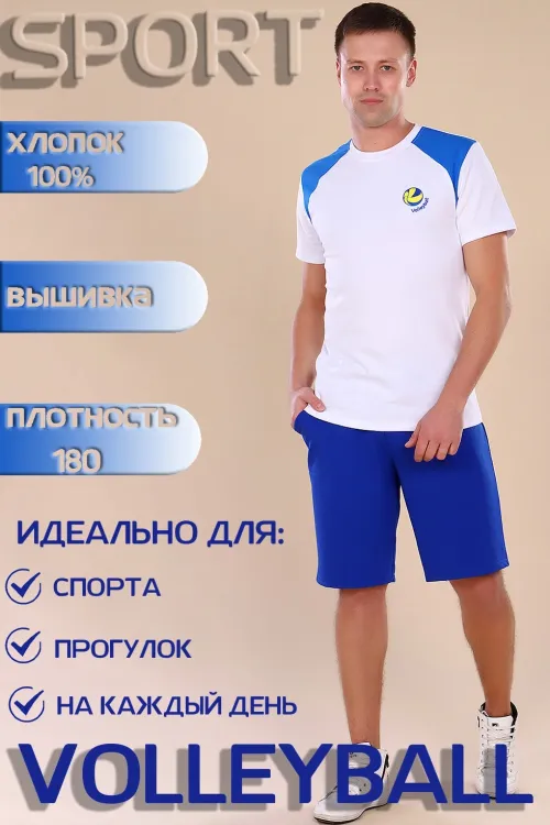 Футболка мужская 511939