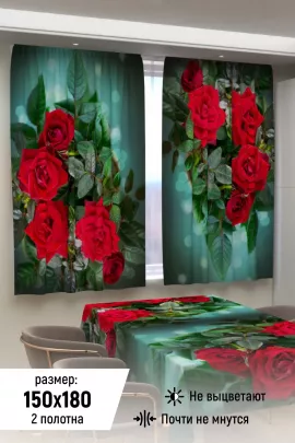 Фотошторы для кухни 10863