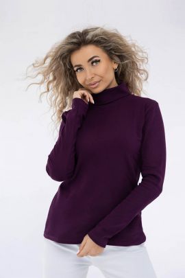 Водолазка мод.1461/11