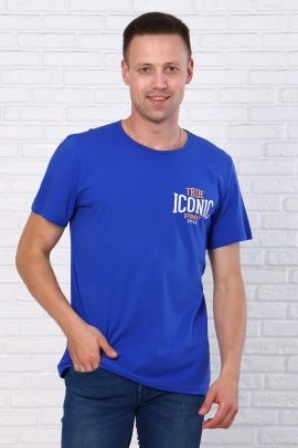 Футболка мужская 7309 (василек)