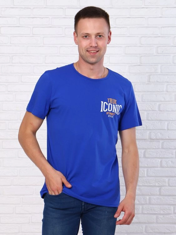 Футболка мужская 7309 (василек)