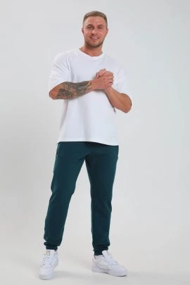 Брюки мужские 33493