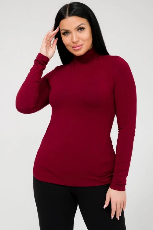 Водолазка, арт. 0263-12