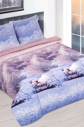 Постельное белье Морозное утро 909 909
