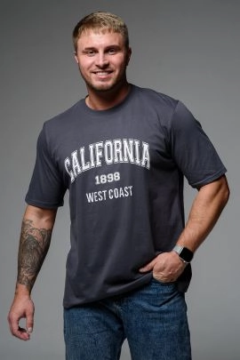 Футболка мужская 8503/1