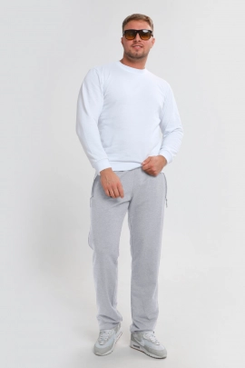 Брюки мужские 22245 серый меланж последний размер